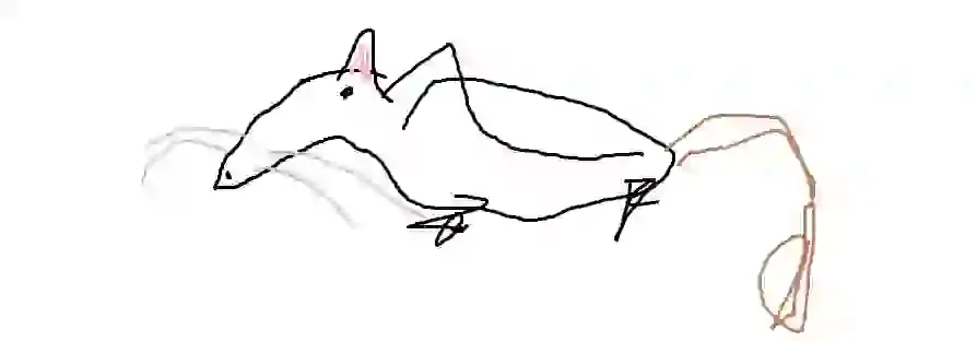 Crudely Drawn Rat